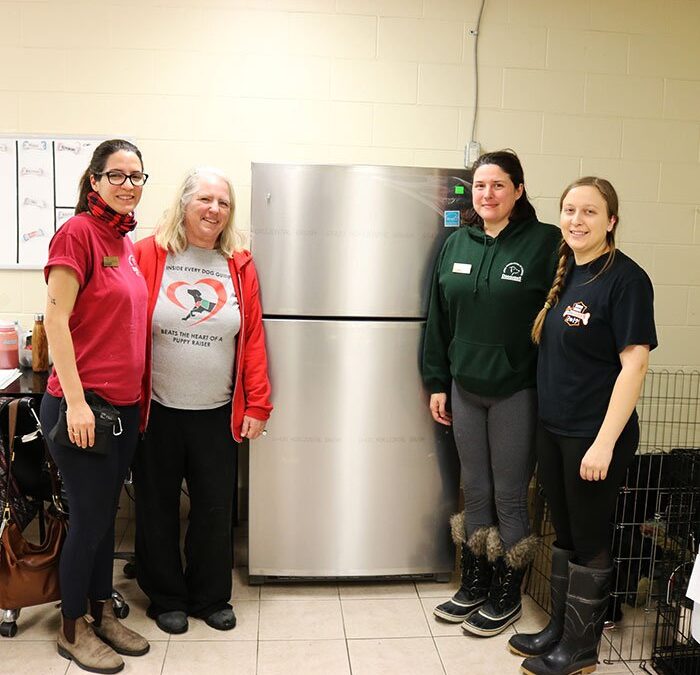 A New Fridge for Kennel